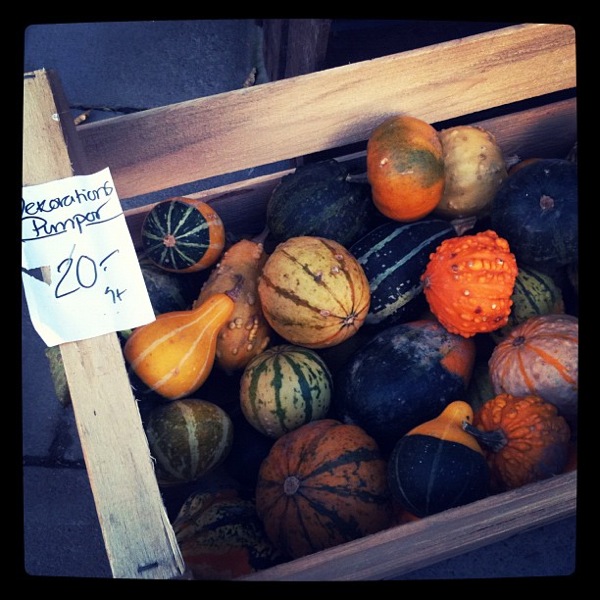 Mini pumpkins