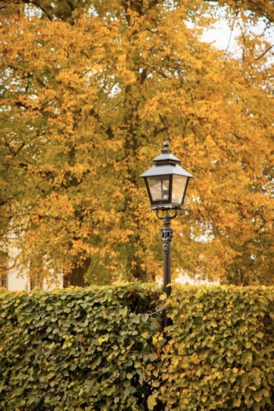 Autum at drottningholm